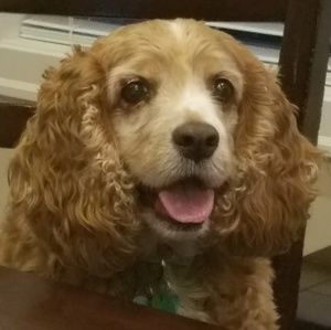 Meet your Posher, Jill